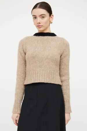 Beige & Black Knit Sweater